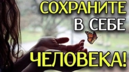 сох