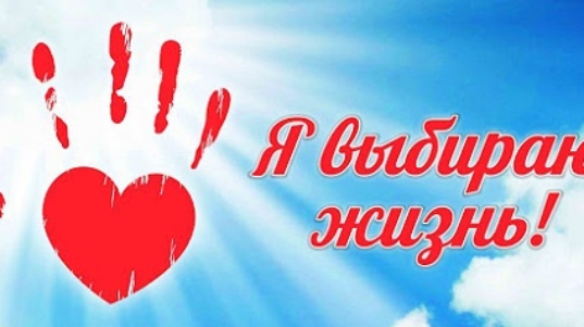 жиз